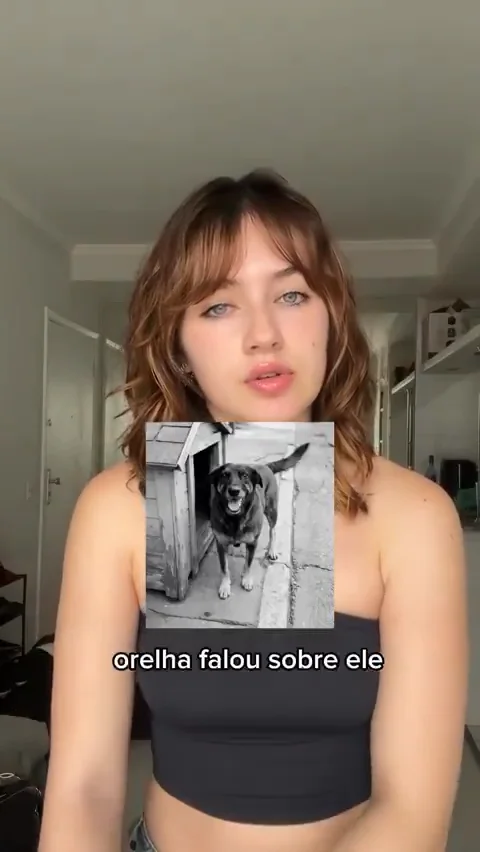 Ex-aluna critica “omissão” de colégio em caso de morte brutal de cão em Florianópolis