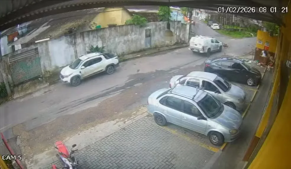 Viatura da Polícia Militar atropela e mata dois cães na Zona Norte de Manaus