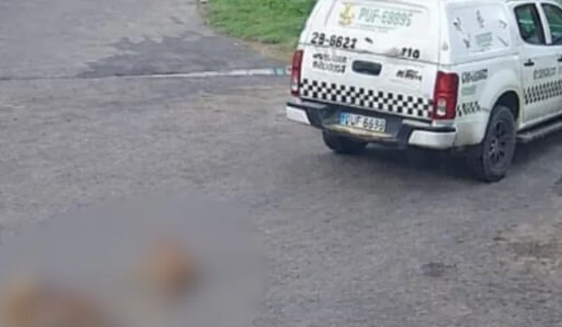 Repercussão de atropelamento de cães pela PM gera protestos e pressão por expulsão de agentes