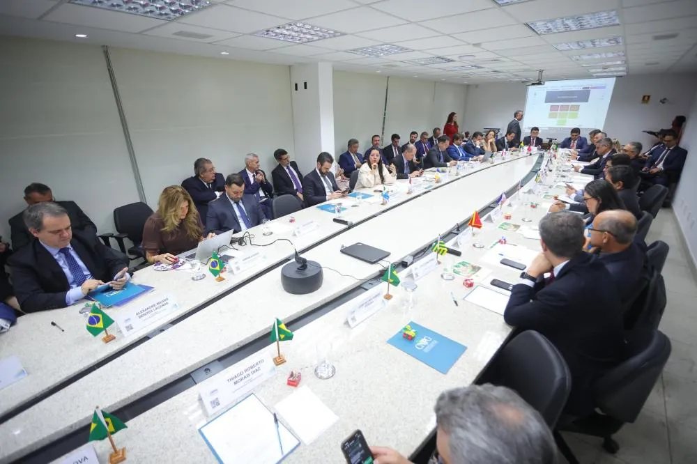 Procuradora-geral do MPAM assume coordenação do eixo de Direitos Humanos do CNPG
