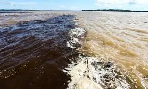 Buscas por desaparecidos em naufrágio no Encontro das Águas entram no segundo dia