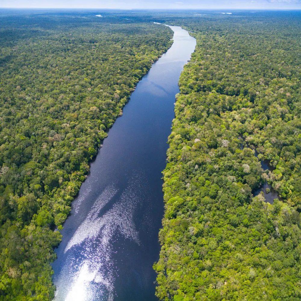 15 curiosidades da Amazônia que impressionam o mundo