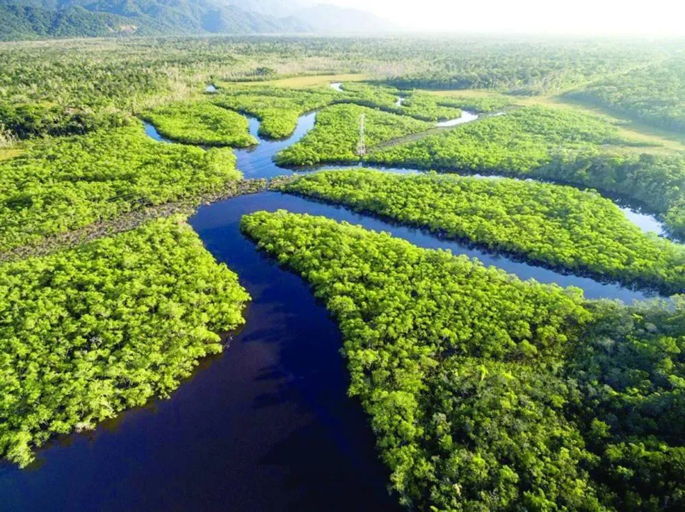 Como se preparar para viajar à Amazônia: guia completo para turistas