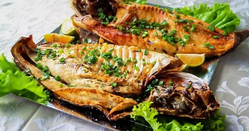 Culinária amazônica: Guia dos 4 peixes mais tradicionais do Amazonas