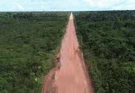 BR-319 Manaus a Porto Velho: Condições, Logística e Cuidados