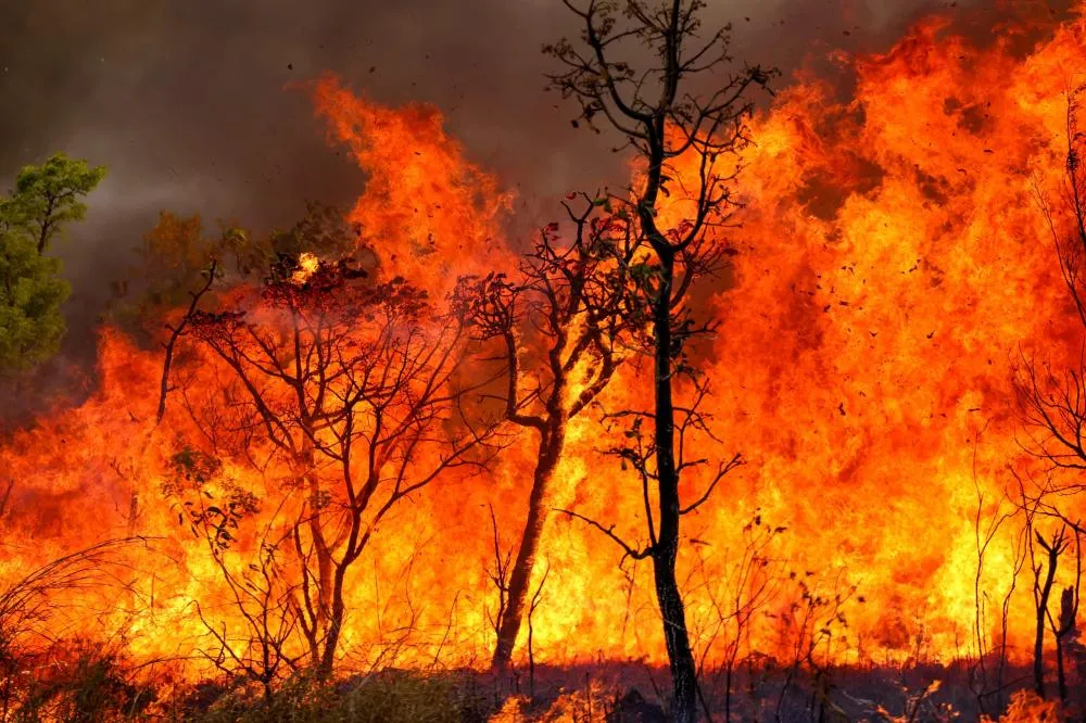 Ministério Público aciona Justiça para cobrar equipamentos contra incêndio em Juruá