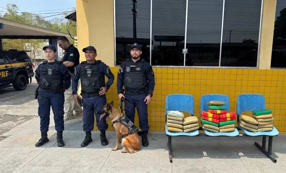 Operação conjunta apreende 30 kg de drogas em Manaus