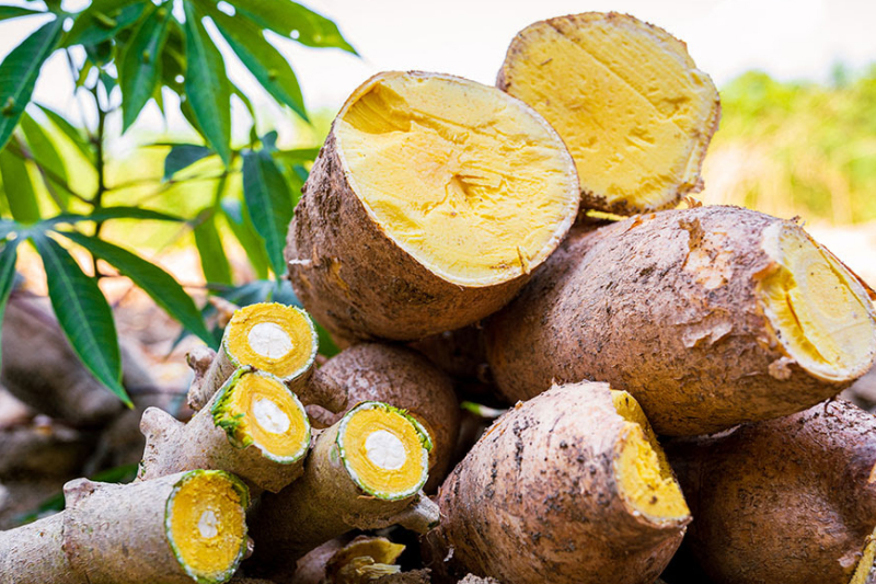 Produção agrícola do Amazonas alcança R$ 3,84 bilhões em 2025