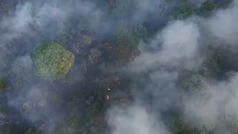 Bombeiros combatem incêndio na BR-319 pelo terceiro dia seguido