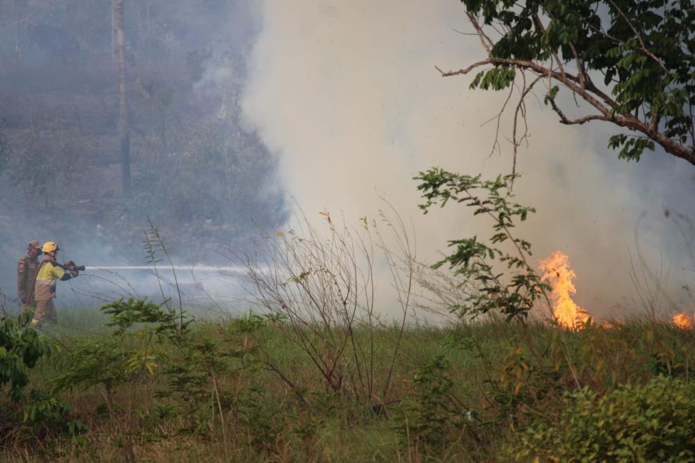 Fogo destrói fios e afeta serviços no Cacau Pirêra