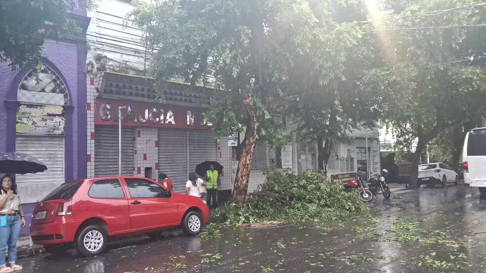 Árvore cai sobre veículo e motociclista durante chuva no Centro de Manaus; ferimentos leves