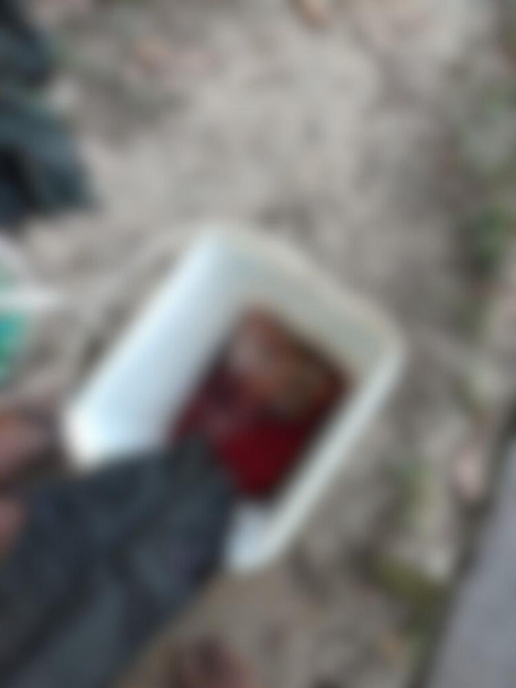 Descoberta Chocante: Homem Encontra Feto Morto em Balde às Margens do Rio