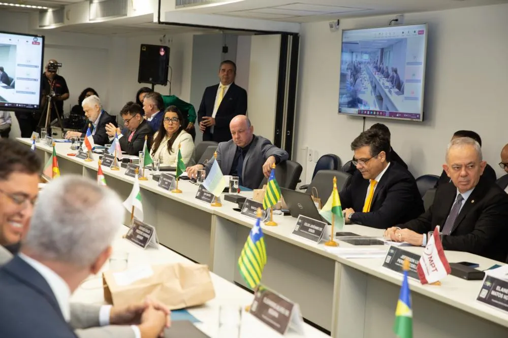 Conselho Nacional aprova Nota de Pesar em homenagem à promotora de Justiça Christiane Dolzany