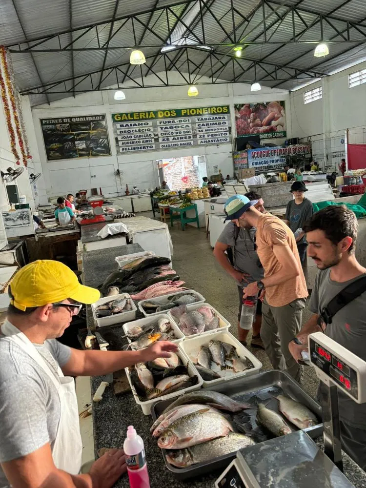Equipe de pesquisadores da UEA indica contaminação por mercúrio em peixes do rio Madeira, no Amazonas