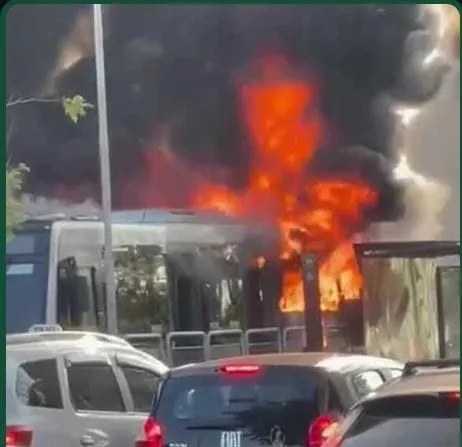 Avião de pequeno Porte Cai em Avenida Movimentada de São Paulo