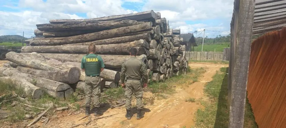 Ibama inicia Operação Maravalha 2025 para combater o desmatamento na Amazônia.