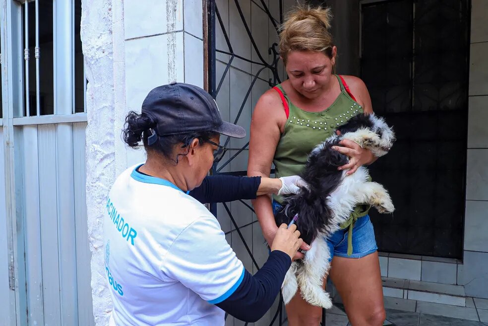 Campanha de Vacinação Antirrábica em Manaus Continua para Proteger 255 Mil Animais