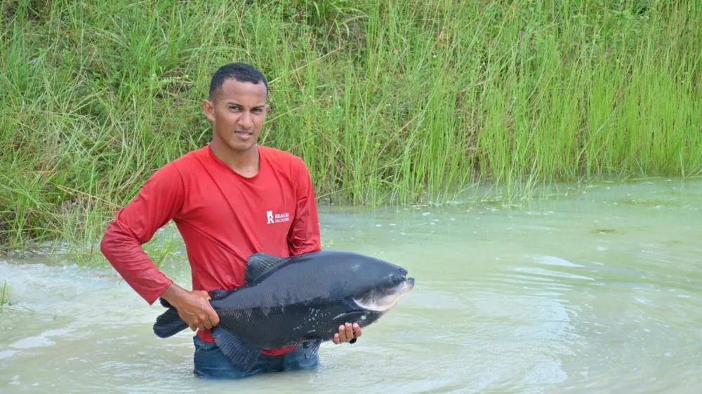 Fim do Defeso: Pesca do Tambaqui é Liberada no Amazonas a Partir de 1º de Abril