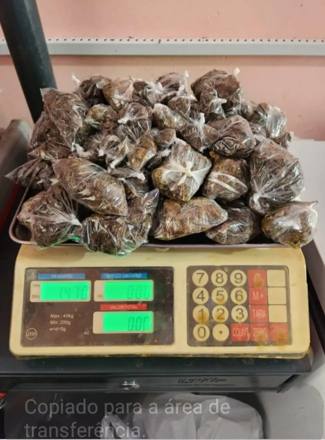Mulher é presa por tráfico de drogas com envolvimento de menor em Alvarães