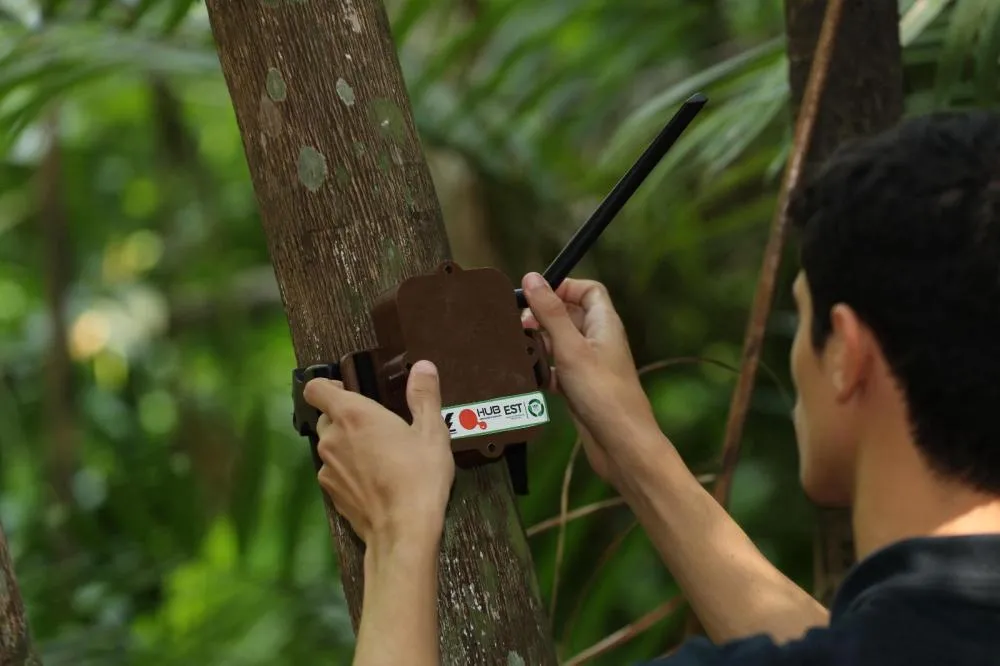 Semana do Meio Ambiente: UEA participará da feira integrada Eco Amazônia