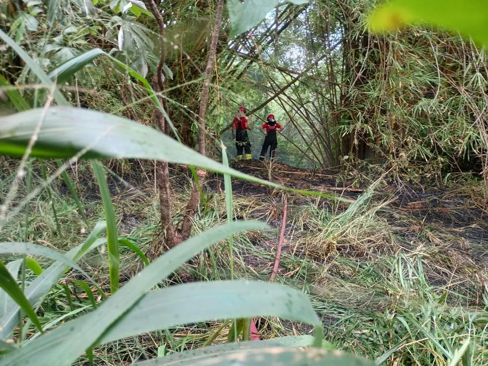 Incêndio atinge terreno abandonado próximo à Rede Amazônica, em Manaus
