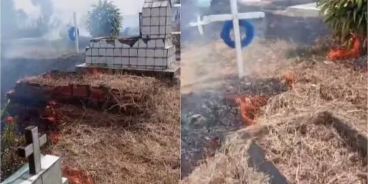 Incêndio atinge duas quadras do cemitério Nossa Senhora Aparecida, em Manaus