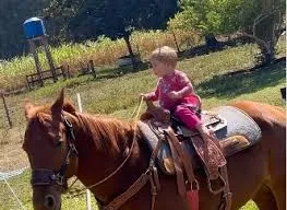 Bebê de 1 ano viraliza ao andar sozinha em cavalo; vídeo divide opiniões nas redes