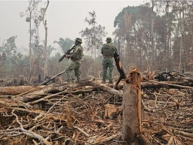 IBAMA vistoria área de proteção ambiental em Manaus.