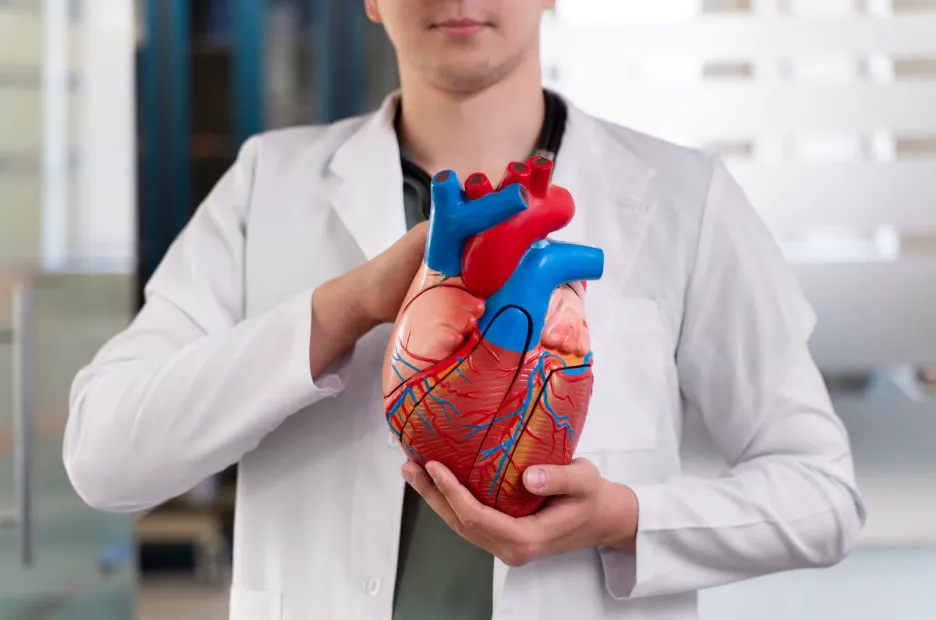 Setembro Vermelho reforça prevenção contra doenças cardiovasculares; mais de 271 mil mortes foram registradas este ano no Brasil