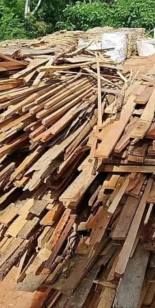 Operação ambiental no AM aplica R$ 7,3 milhões em multas por crimes contra a natureza